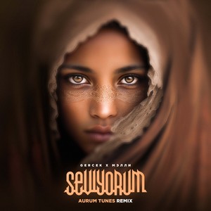 Seviyorum (AURUM TUNES Remix)