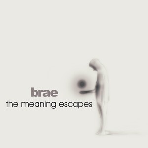 The Meaning Escapes