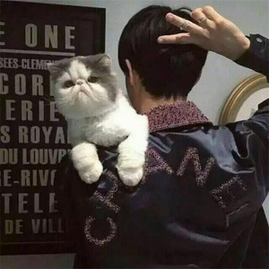 执迷 Remix