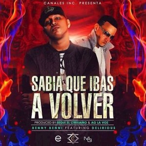 Sabia Que Ibas a Volver