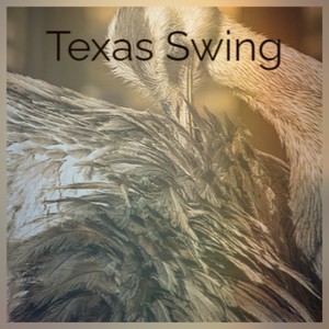 Texas Swing