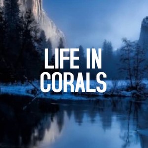 Corals (feat. Josef Bratan & Paolo Conte) (Explicit)