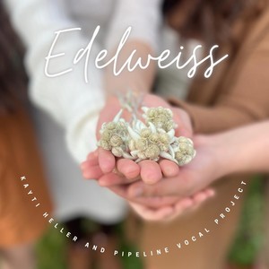 Edelweiss