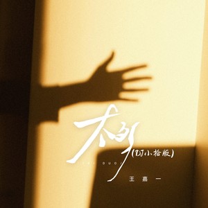 太多 (DJ小拾版)