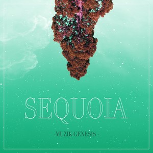 Sequoia (Explicit)