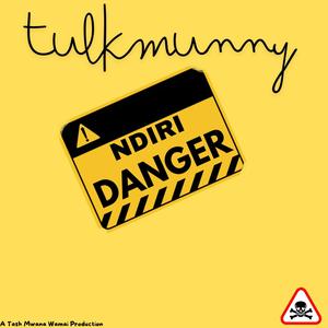 Ndiri Danger (feat. TulkMunny) [Explicit]