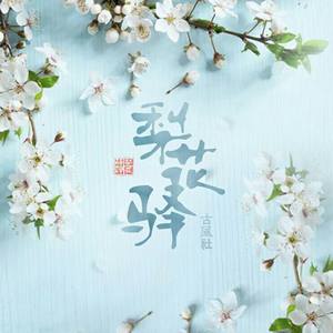 【梨花驿填翻】错命书(原创剧情歌)