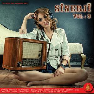 Sinerji, Vol. 3