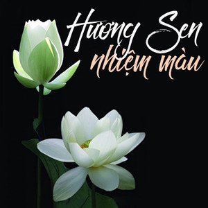 Nam mô bản sư thích ca mâu ni Phật