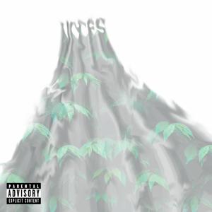 Voces (feat. Gramz) (Explicit)