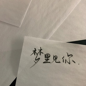 Danza Kuduro (Remix)