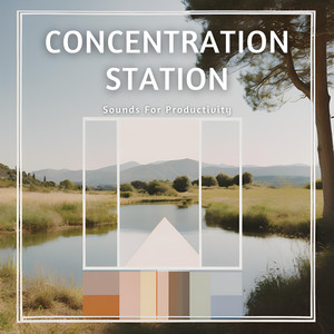 Concentration Station - Sounds For Productivity