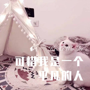 可惜我是一个平凡的人 (Remix)