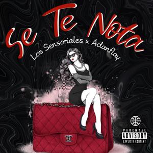 Se te nota (feat. Adanflay) (Explicit)