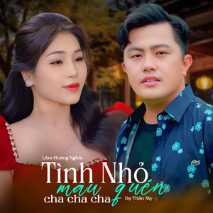 Tình Nhỏ Mau Quên (Cha Cha Cha Mix)