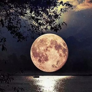 水调歌头·明月几时有 (伴奏)