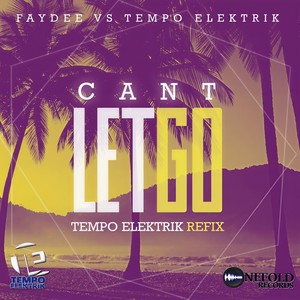 Can't Let Go(Faydee Vs Tempo Elektrik) (Radio Edit)