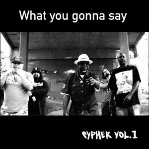 What You Gonna Say (feat. Soul The Interrogator, Seven Da Pantha, DoubleExcel & 206 Assassin) [Explicit]