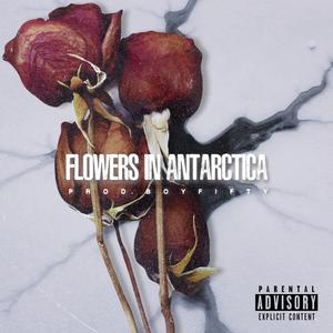 Flowers In Antarctica (Explicit)