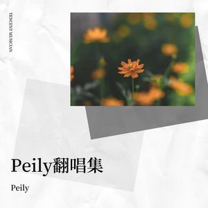 Peily翻唱集