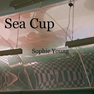 Sea Cup