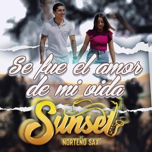 Se Fue El Amor De Mi Vida