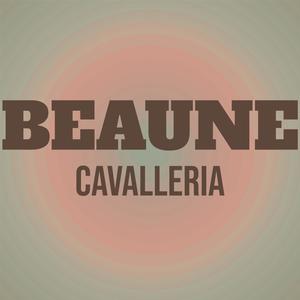 Beaune Cavalleria