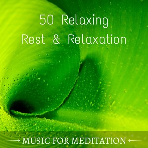 50 Relaxing Rest & Relaxation: Music for Meditation, Nature Sounds, Healing Water, Deep Sleep, Calming Sounds of the Sea, Ocean Waves