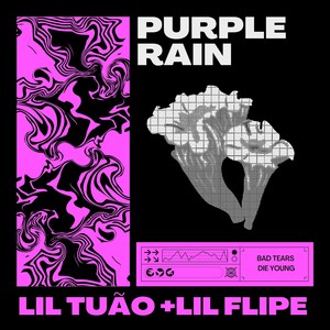 Purple Rain (Explicit)