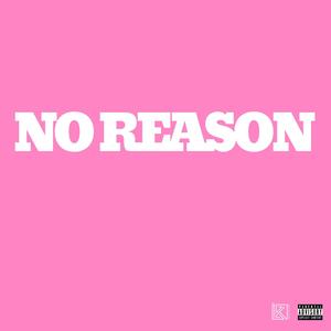 NO REASON