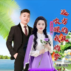 远方的风吹醒我的梦 (COVER版)