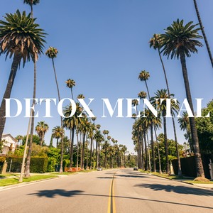 DETOX MENTAL