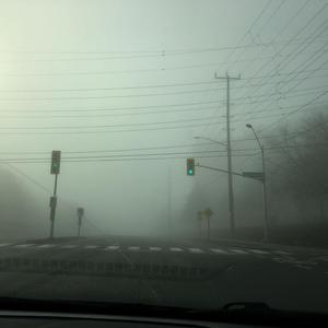 Spinnin $hit in $ilent Hill (Explicit)