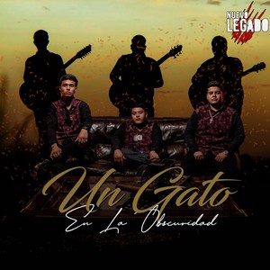 Un Gato En La Obscuridad