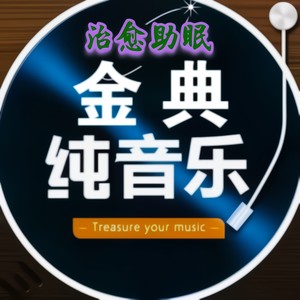 治愈助眠解压纯音乐 - 爱上张无忌 (纯音乐)封面