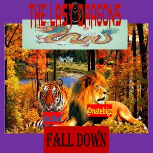 FALL DOWN (feat. ABFAD) [Explicit]