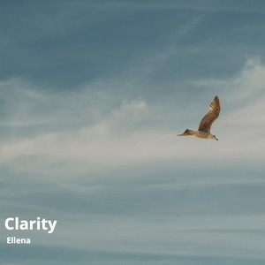 Clarity