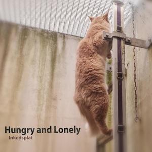 Hungry and Lonely