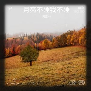 月亮不睡我不睡