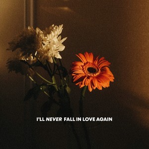 I'll Never Fall in Love Again