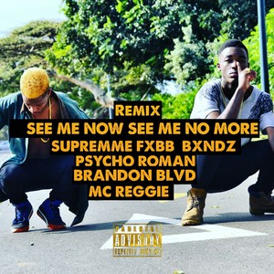 See Me Now See Me No More (Remix|Explicit)