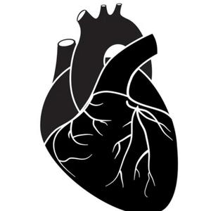 Traka (feat. Asam Mungoina) (Explicit)