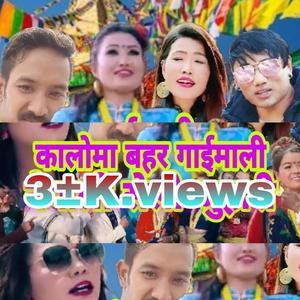 Kaloma Bahara Gai Mali (feat. Babita Pakhrin & Lakpa Dorje Glan) (Explicit)