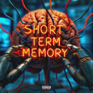 Short Term Memory (Explicit)