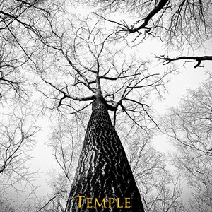 Temple(feat. Raven & David Dreyer)