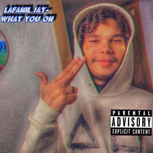 Lafamil Jay (What You On) [Explicit]