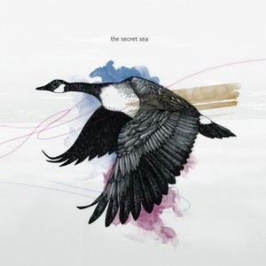 The Secret Sea - Safe Asylum