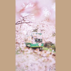 不要再转发微博了你是不可能中奖的