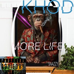 More Life (Explicit)