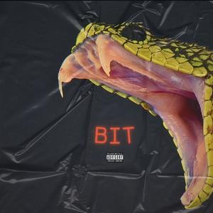 BIT (Explicit)